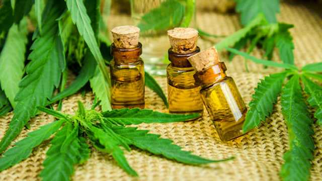 https://www.thealternativedaily.com/cannabis-oil-benefits/