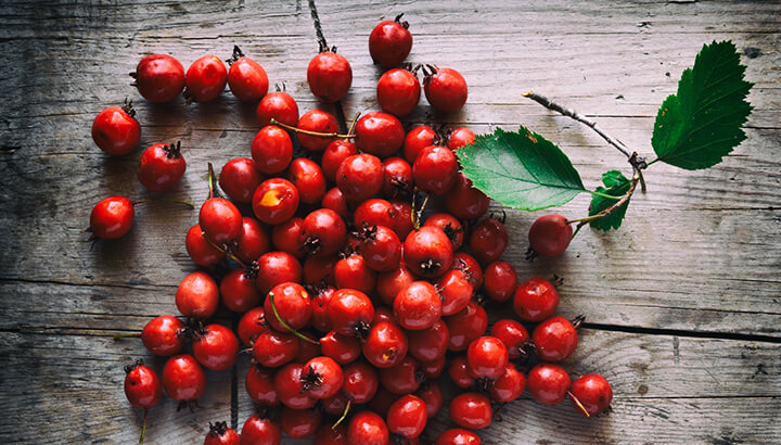 11 Amazing Health Benefits Of Hawthorn Berries