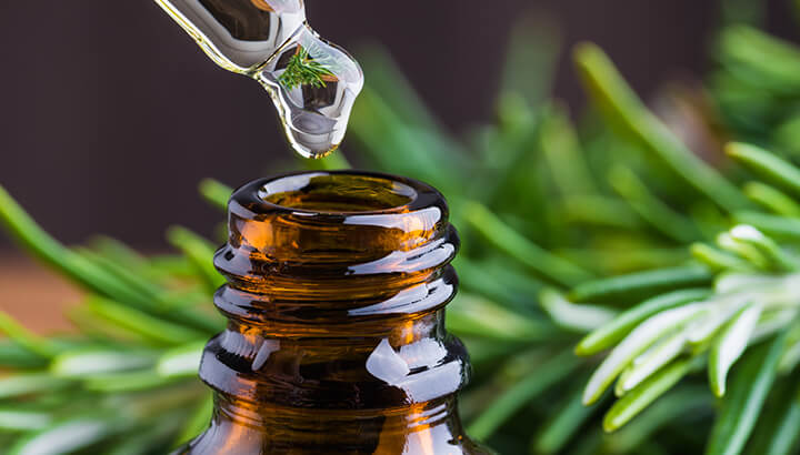 Rosemary prevents brain aging with essential oil