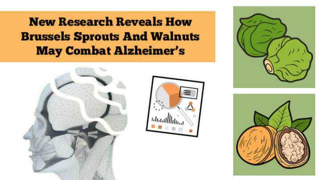 A new study shows that Brussels sprouts and walnuts may help those with Alzheimer's Feature photo