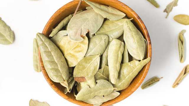 Boldo tea from Chile can cleanse your liver and more