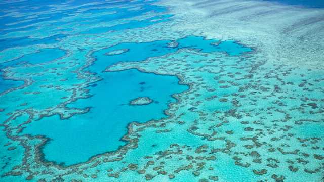 Great Barrier Reef Die-Off