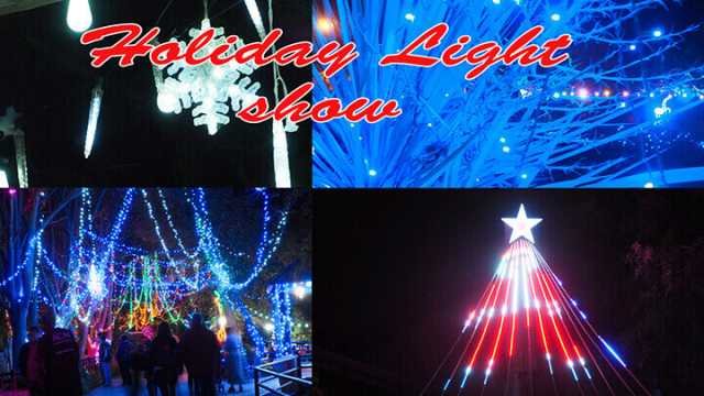 Holiday Light Show