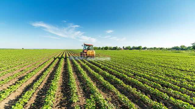 Monsanto toxin