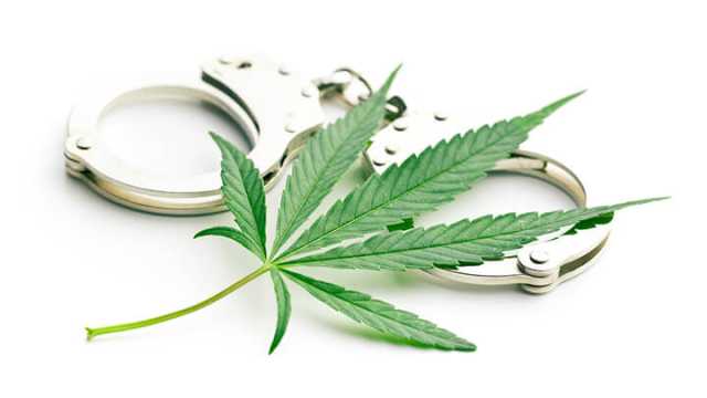 Reasons to end the war on weed
