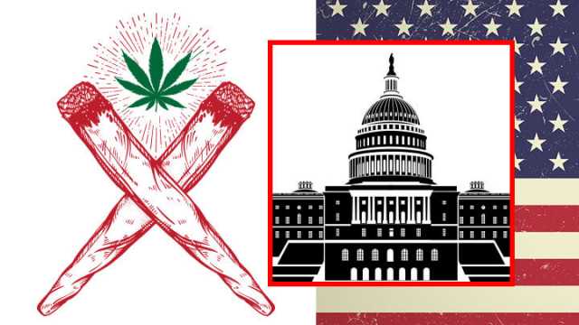 Activists to hand out joints at Trump ceremony