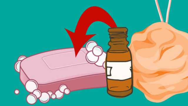 Loofah Soap