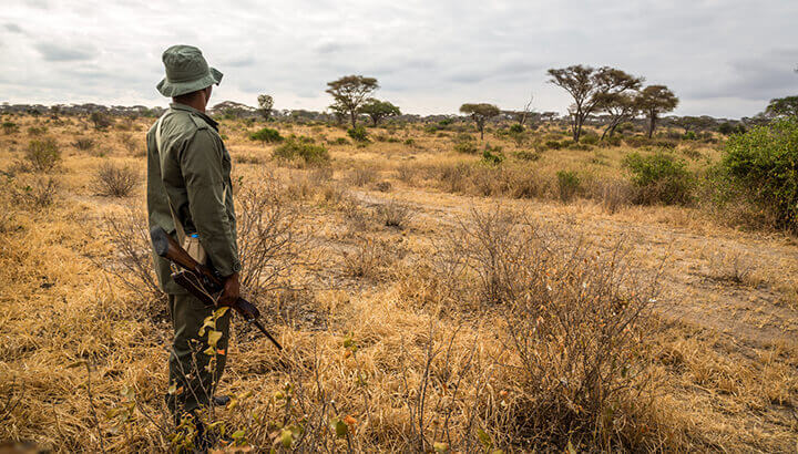 Park rangers help protect rhinos from poachers - The Alternative Daily