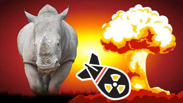 Rhino horn trade and nuclear arms