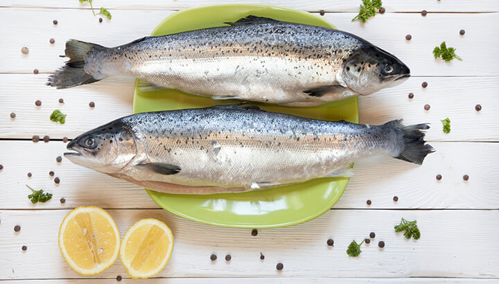 Salmon may contain 81 contaminents