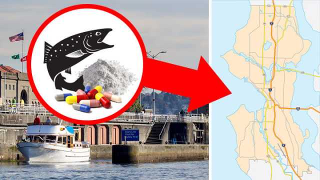 salmoncocaine_FeaturedImage720x410 (1)
