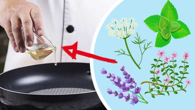 Cooking with essential oils