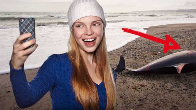 Selfies are harming wild animals