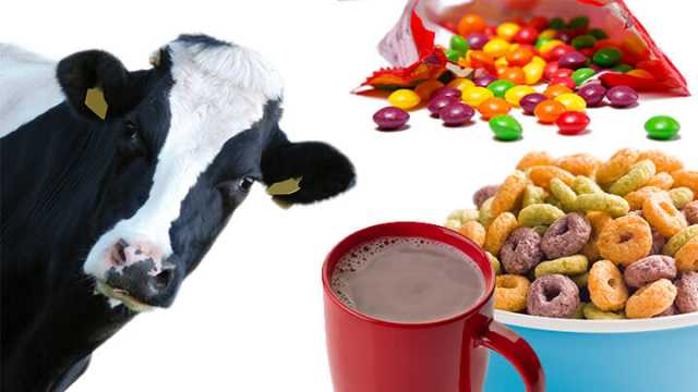This is what cows are really eating