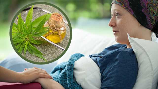 Cannabis-all-natural-cancer-treatment-64