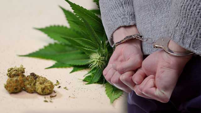Congress and marijuana reform