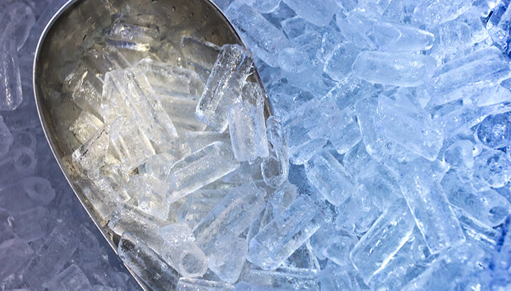Ice may contain mold and other bacteria.