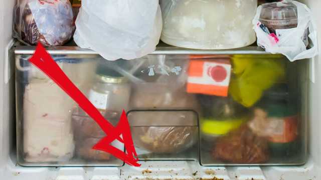 Why you need to clean your refrigerator now