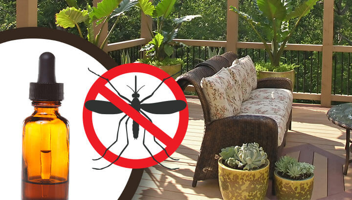 Keep Mosquitoes Away From Your Patio, How To Keep Mosquitoes Away From Patio Naturally