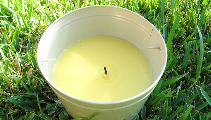 Keep mosquitoes at bay with a homemade citronella candle