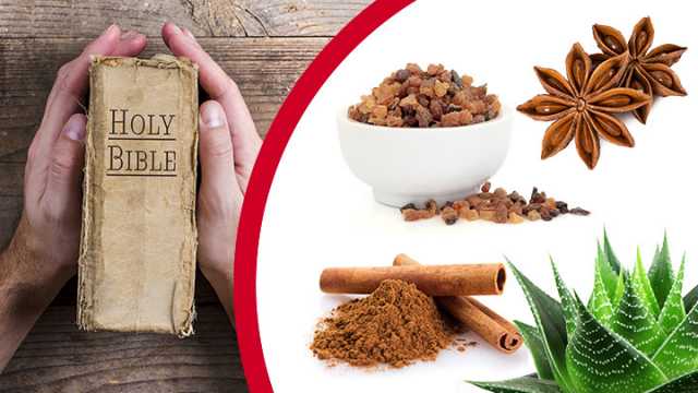 10 Natural Remedies Mentioned In The Bible