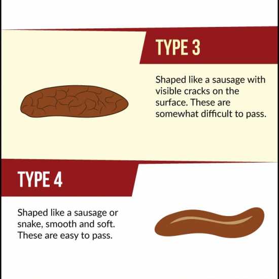 Always look at your poop before you flush The Alternative Daily