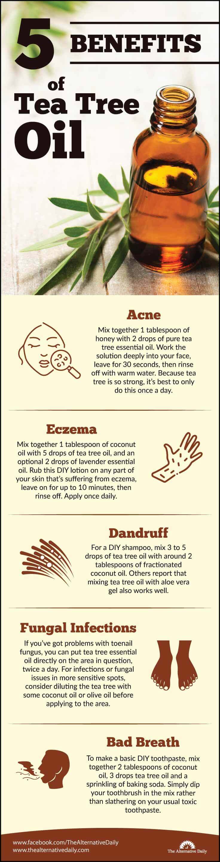 5 Must Know Benefits Of Tea Tree Oil And How To Use It