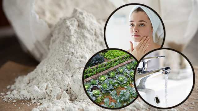 How to use diatomaceous earth