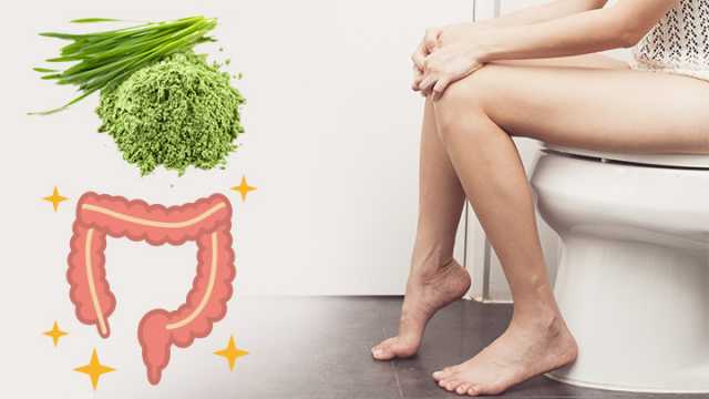 Reasons to try a wheat grass colonic
