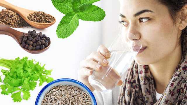 How to make Jal Jeera water