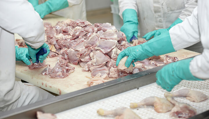 How Dangerous Is Mechanically Separated Poultry?