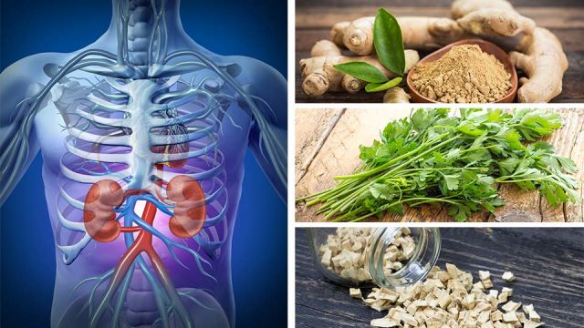Natural diaretics to cleanse your kidneys