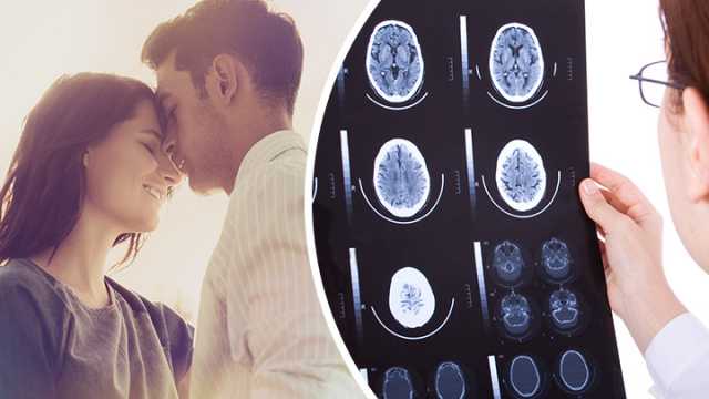 This is your brain in love