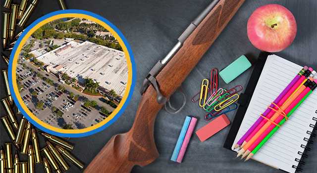 Walmart gun sale