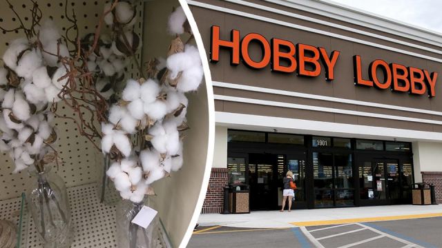Cotton at Hobby Lobby deemed racist