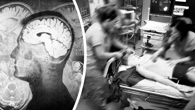 brainfunctionafterdeathlifeafter_featured_960x540