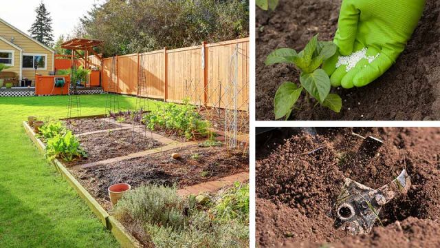 5MistakesGarden-1