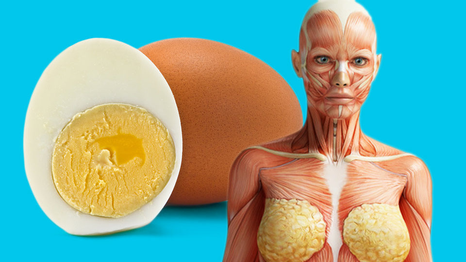 9 Things That Will Happen To Your Body After Eating Two 