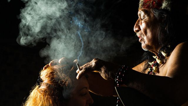 Ayahuasca can heal alcoholism and anxiety