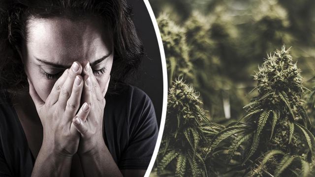cannabisanxietydepression_featured_960x540