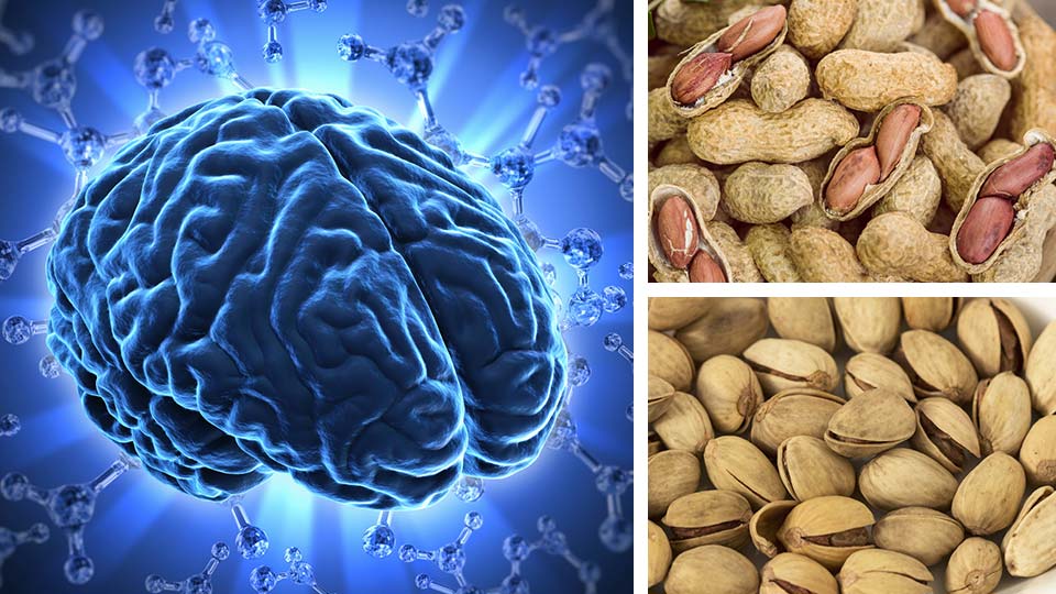 Want To Improve Your Memory? Try A Handful Of These Nuts