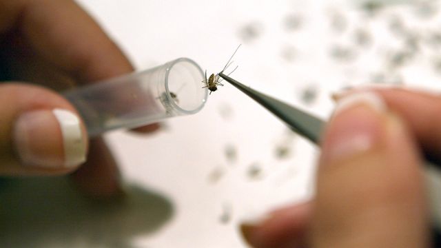 epahasapprovedthereleaseofweaponizedmosquitoesin20usstates_featured_960x540