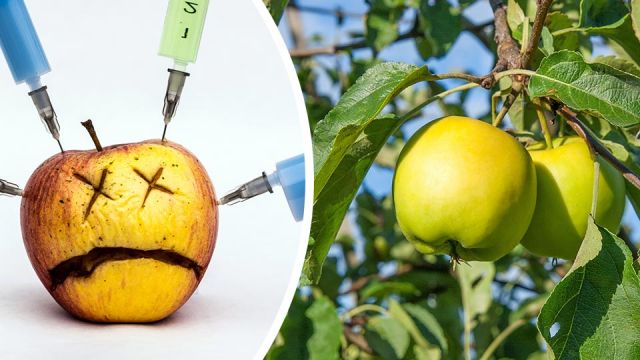 thesegmoappleswontturnbrown_featured_960x540