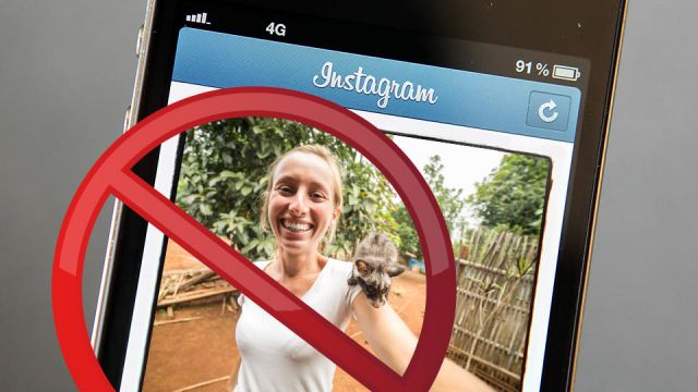 instagrambanexoticanimalphotos_featured_960x540