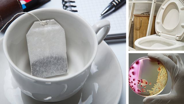 officeteabagsbacteriatoilet_featured_960x540