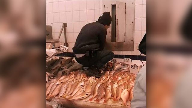chinatownfishmarketwalksalloverfishdisplay_featured_960x540