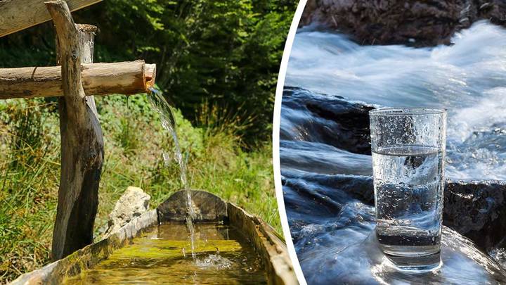 Should You Buy Into The Raw Water Craze