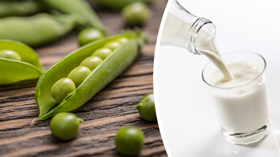 5-reasons-i-drink-pea-milk-everyday-and-not-dairy-milk-2-is-shocking