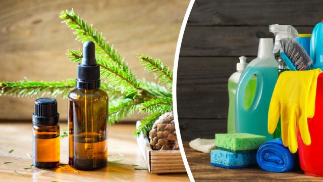 5essentialoilsforcleaningandhowtousethem_960x540