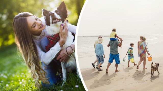 7benefitsofowningadog-_960x540